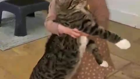 Girl dancing with a cat