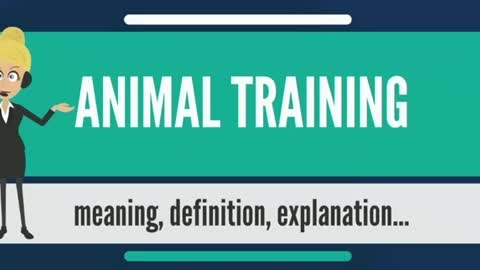 What is ANIMAL TRAINING