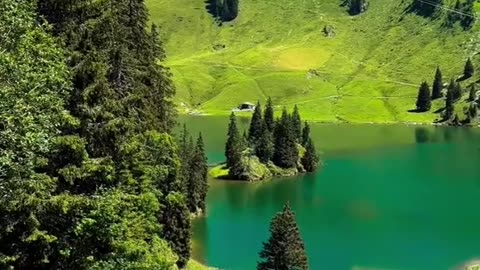 #Useful#Beautiful#Funny #Funny video#laugh# interesting#video#short video#short#short cut