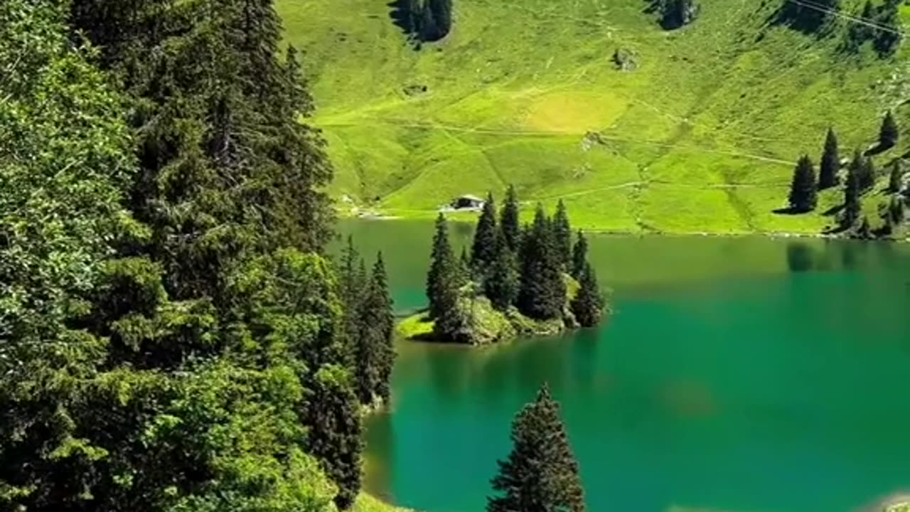 #Useful#Beautiful#Funny #Funny video#laugh# interesting#video#short video#short#short cut