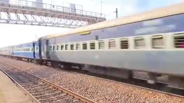 Dog hits bye Train 😱😱😱