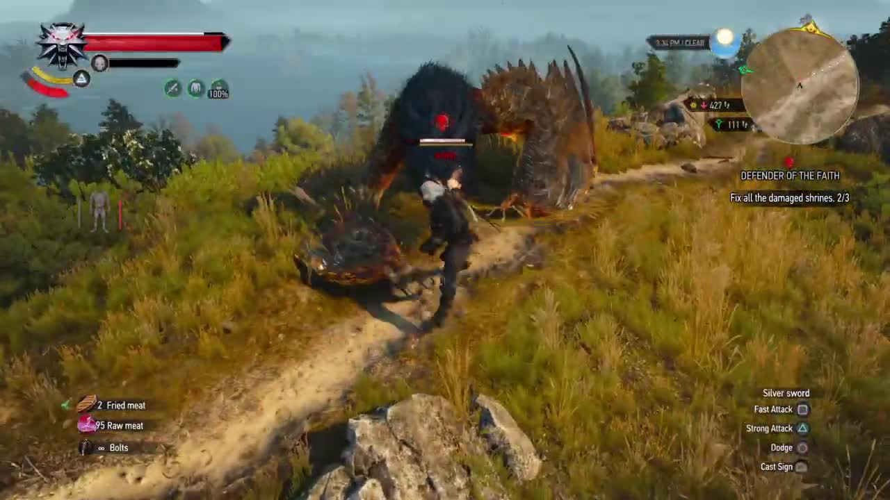 Geralt vs Griffin. Griffin Wins