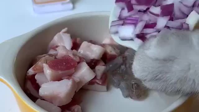 "Chef Michelin’s method of making lamb chops" | cat world | cat univere