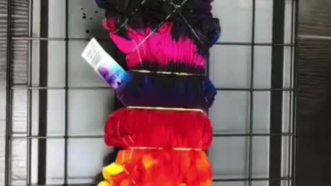 When people have passions and can make art out of anything