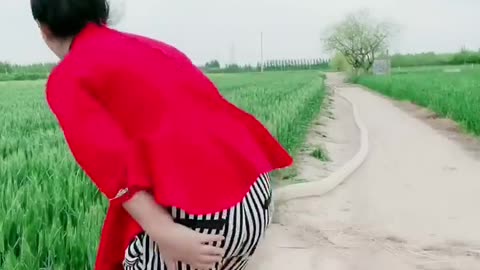 Funny videos 😂📸