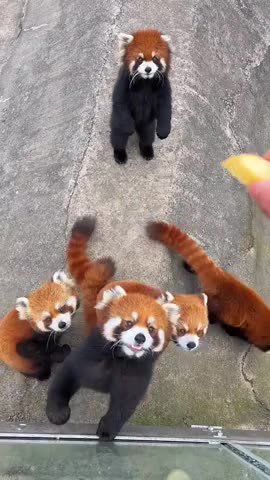 I always do this 🤣🤣🤣