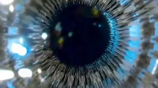 The Man Who Stored His Wife's Consciousness in a Robot (part 4)
