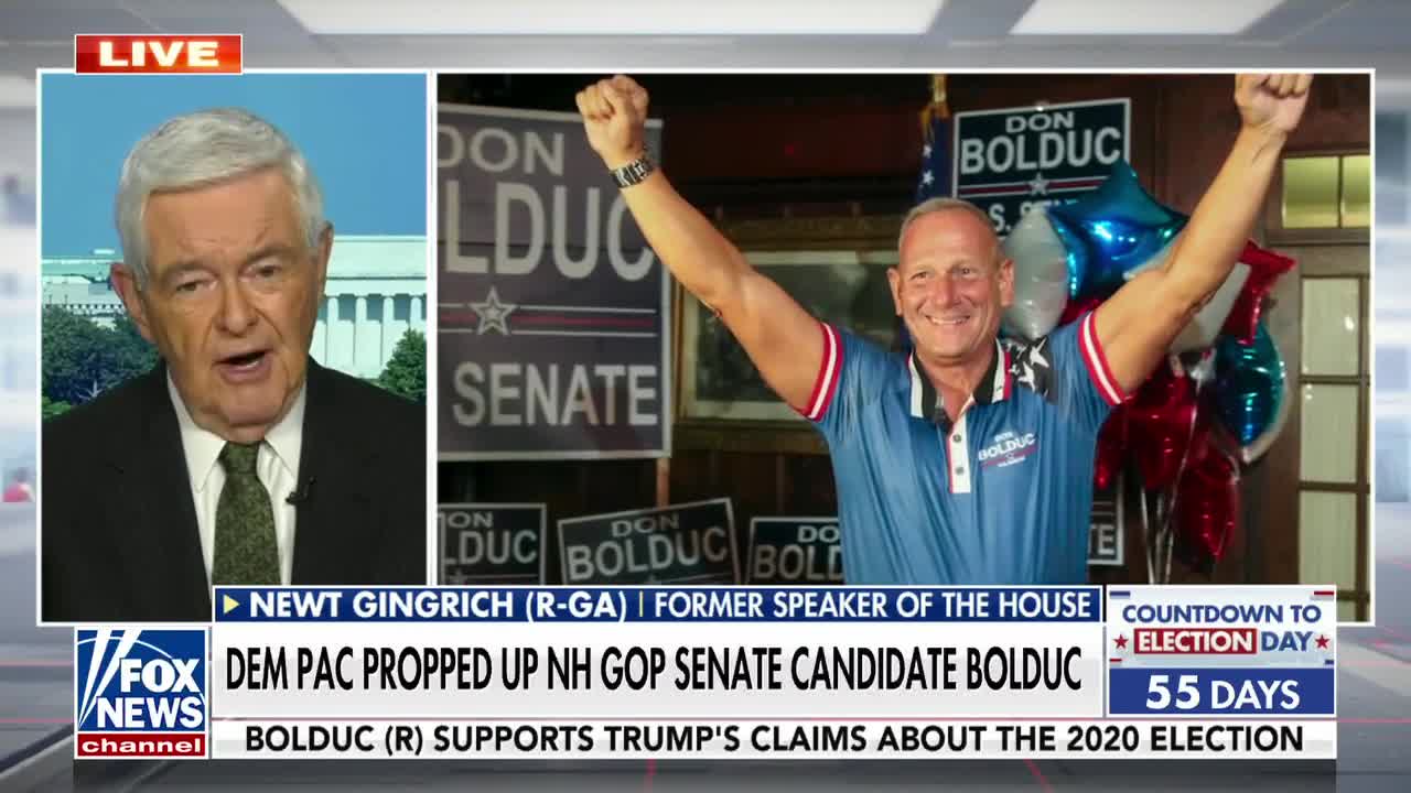 Newt Gingrich on NH Senate race: How does Hasan go home and say this is working?