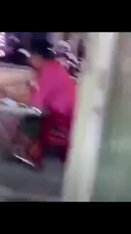 You a Dog....In a Bar Lol