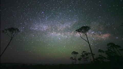 Night sky view