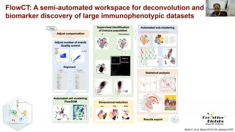 bispecific antibodies 4