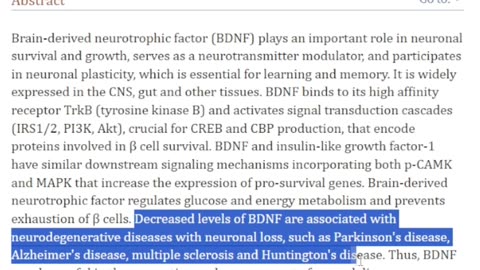 What is BDNF "Brain Fertilizer"?