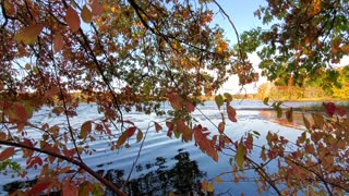 Autumn Magnificence, Goddard State Park, 684 Lake Wilhelm Rd, Sandy Lake, PA 16145