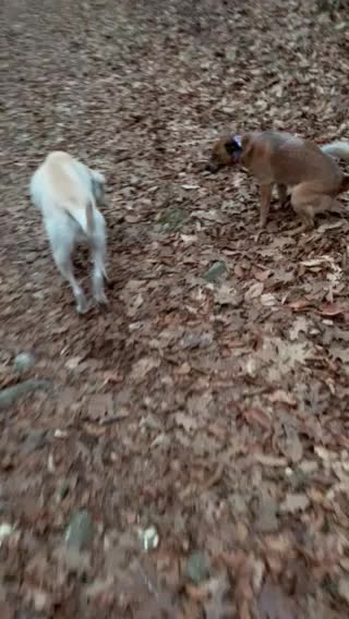 Enjoy the outdoors shut off the media