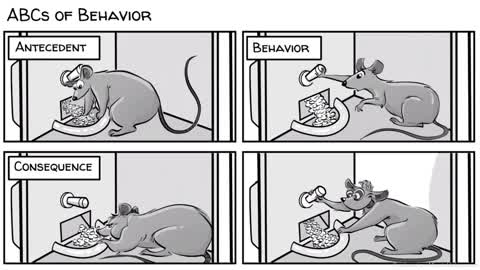 Skinner’s Operant Conditioning: Rewards & Punishments