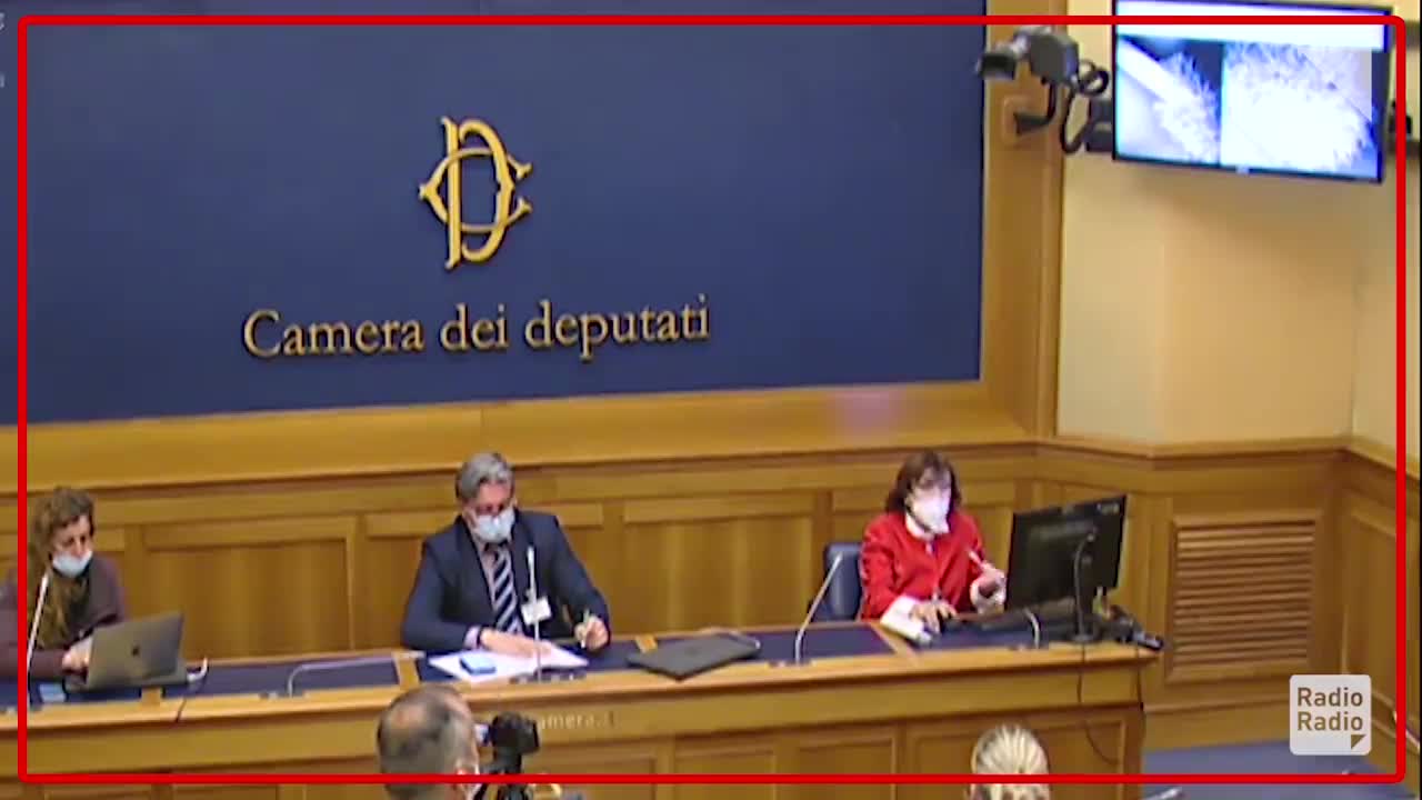 Dott.ssa Gatti alla Camera dei Deputati, analisi dei tamponi