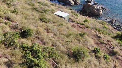 Epstein's Pedo Island 19
