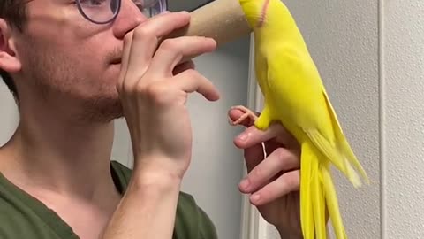 # Parrots show new skills