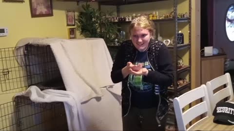 Egg War Part II