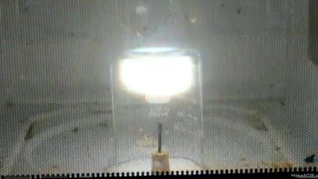 MicroWaves and fire element