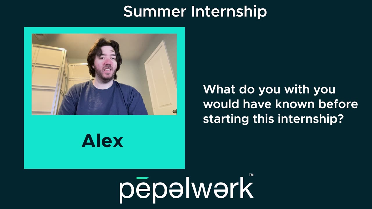 Inside pepelwerk’s Summer Internship: Interns Share Their 2024 Experience