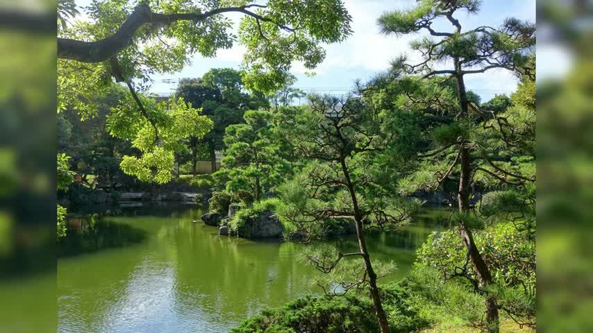 Beautiful Japan , Nature Pics, Sakura - Traditional Famous Japanese Folk Music, Instrumental