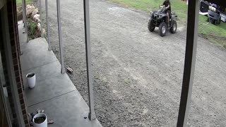 Forklift Stuck in the Mud Won't Move