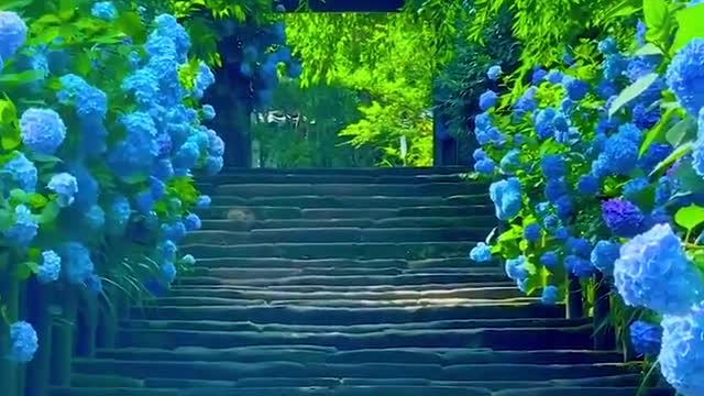 Dream is like underwear.Although you have it,youcan not show it to everyone you meet.