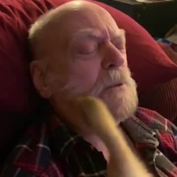 Funniest pets😁😁