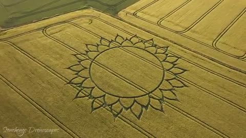 Crop Circle - Potterne, Wiltshire, England - 7 June 2023