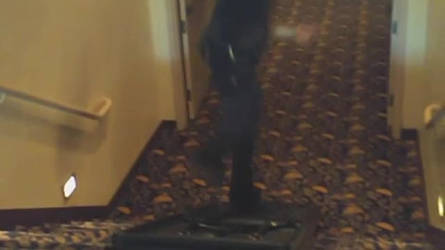 Man in black down stairs on black up side down table