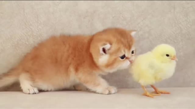 Cute friends