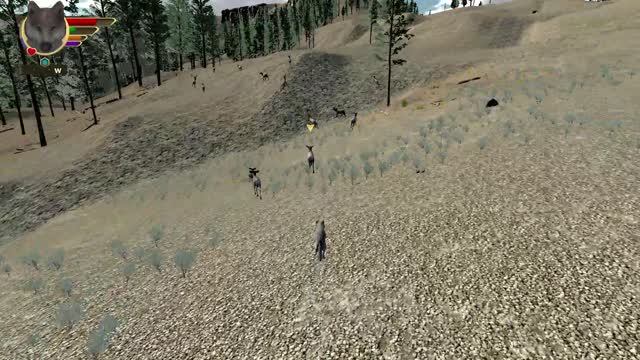 Mimic's Wolfquest AE all single player achievements - 40