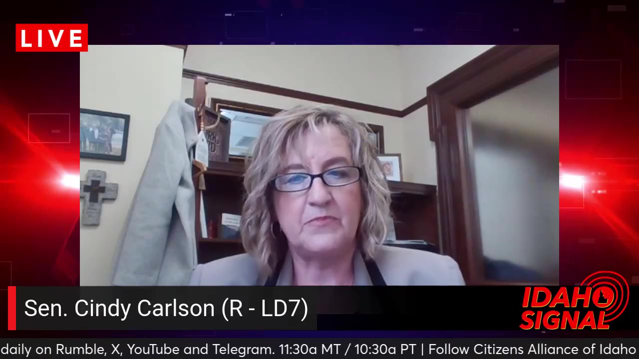 Sen. Cindy Carlson reacts to the introduction of the Library Bill and its ultimate fate