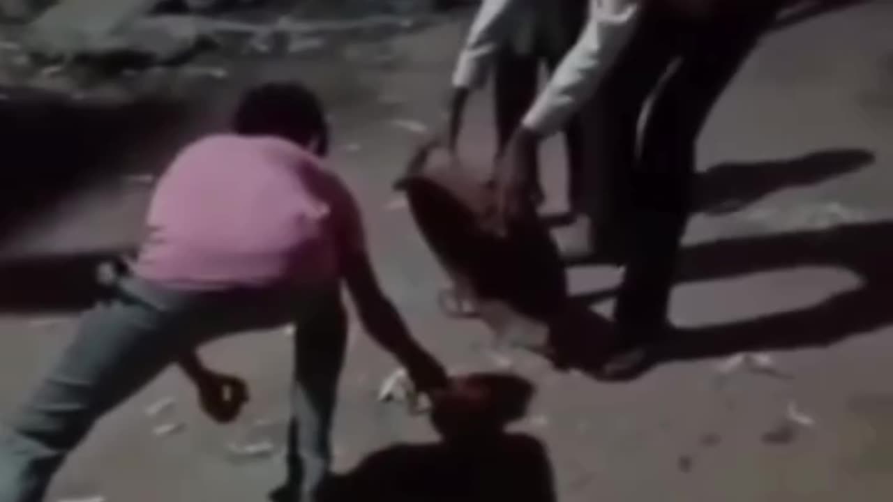 Wait For End Funny Shorts
