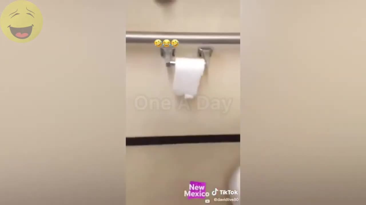 "Spider Prank in Toilet Paper: Hilarious Compilation!"