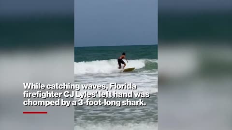 Surfer calmly walks away from ‘gnarly’ shark bite