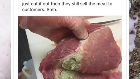 Some truth on the meat industry might shock you