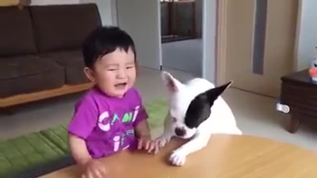 Crying baby kids with animal dog
