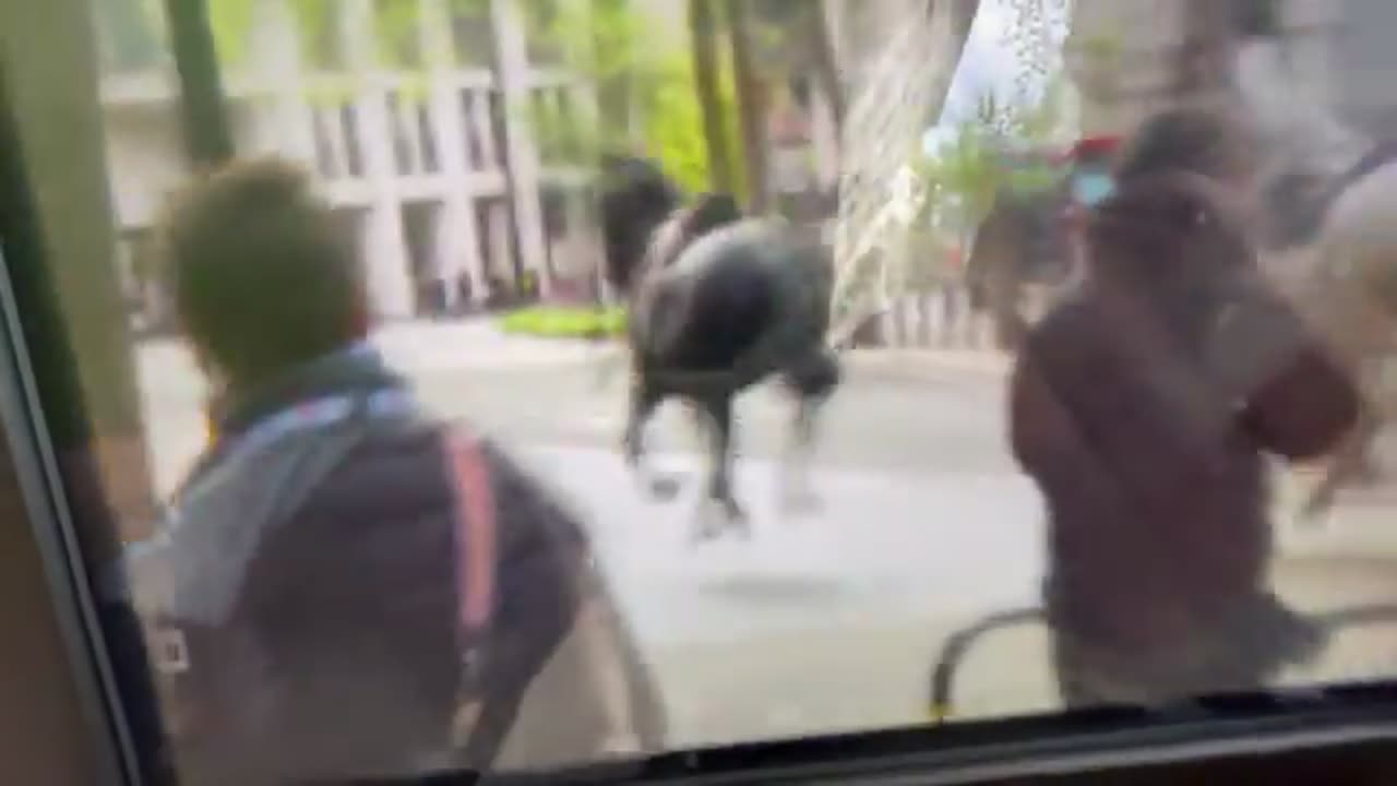 Two horses have just been seen running down Aldwych in central London. One covered in blood.