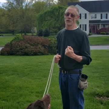 Murphy's 5 Points of the Paw part 4