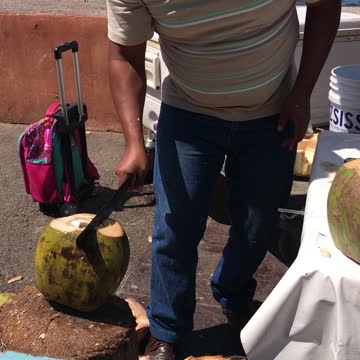 Fresh Coconut in Mexico