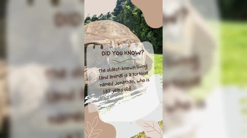 For your knowledge😌