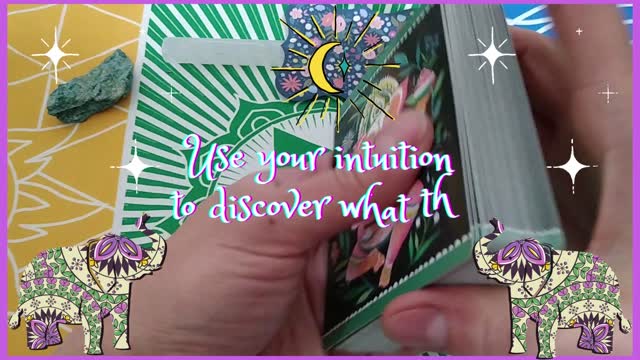 Quick Answer Oracle & The Wild Offering Oracle ~ Intuitive Reading ~ Self Interpretation