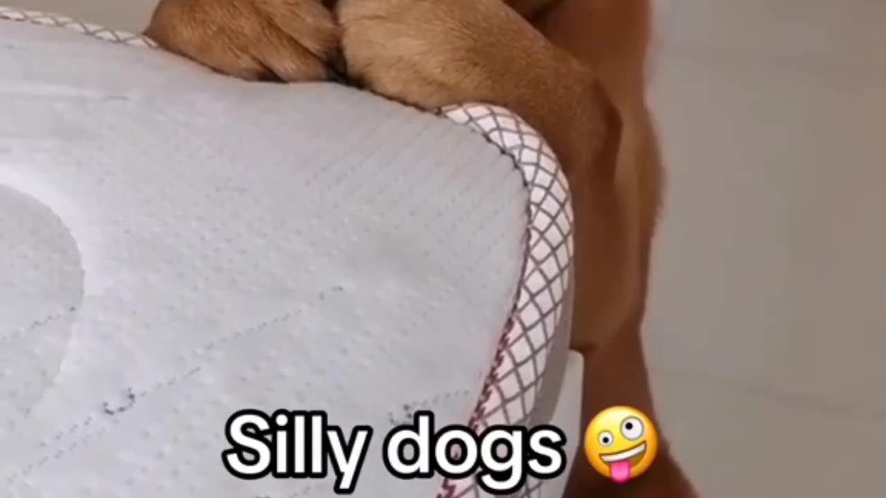 See how they act