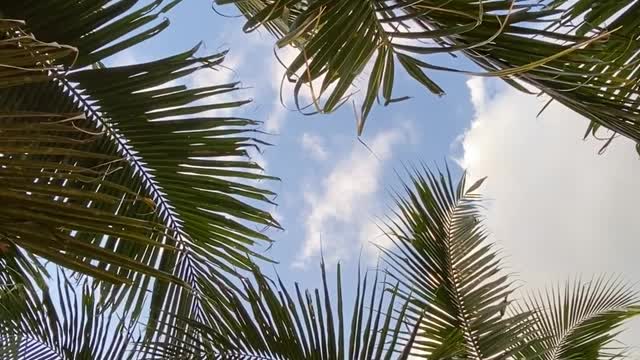 The Most Pleasant Place in the World