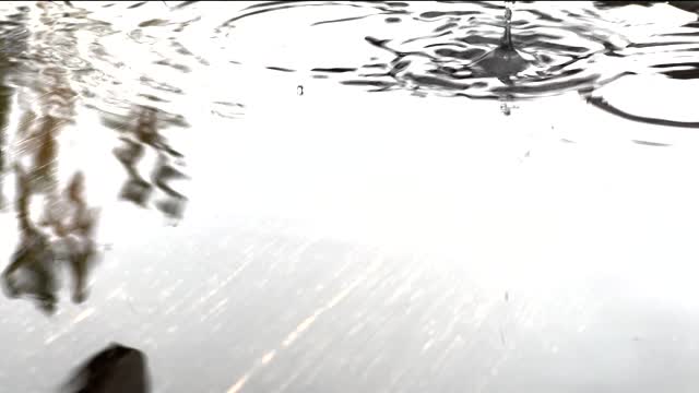 Reels 4K Relaxing Rain Falling On Table Top