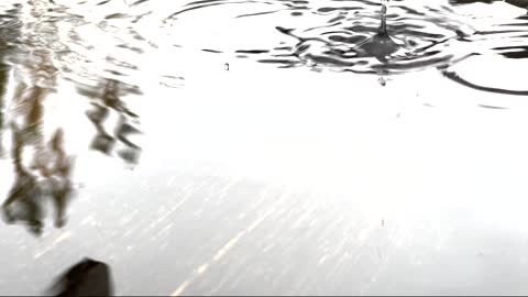 Reels 4K Relaxing Rain Falling On Table Top