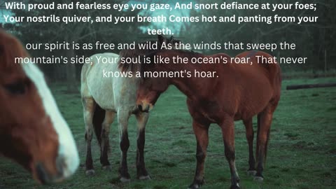 poem on horses