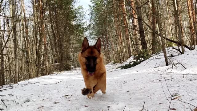 After the April snowfall.